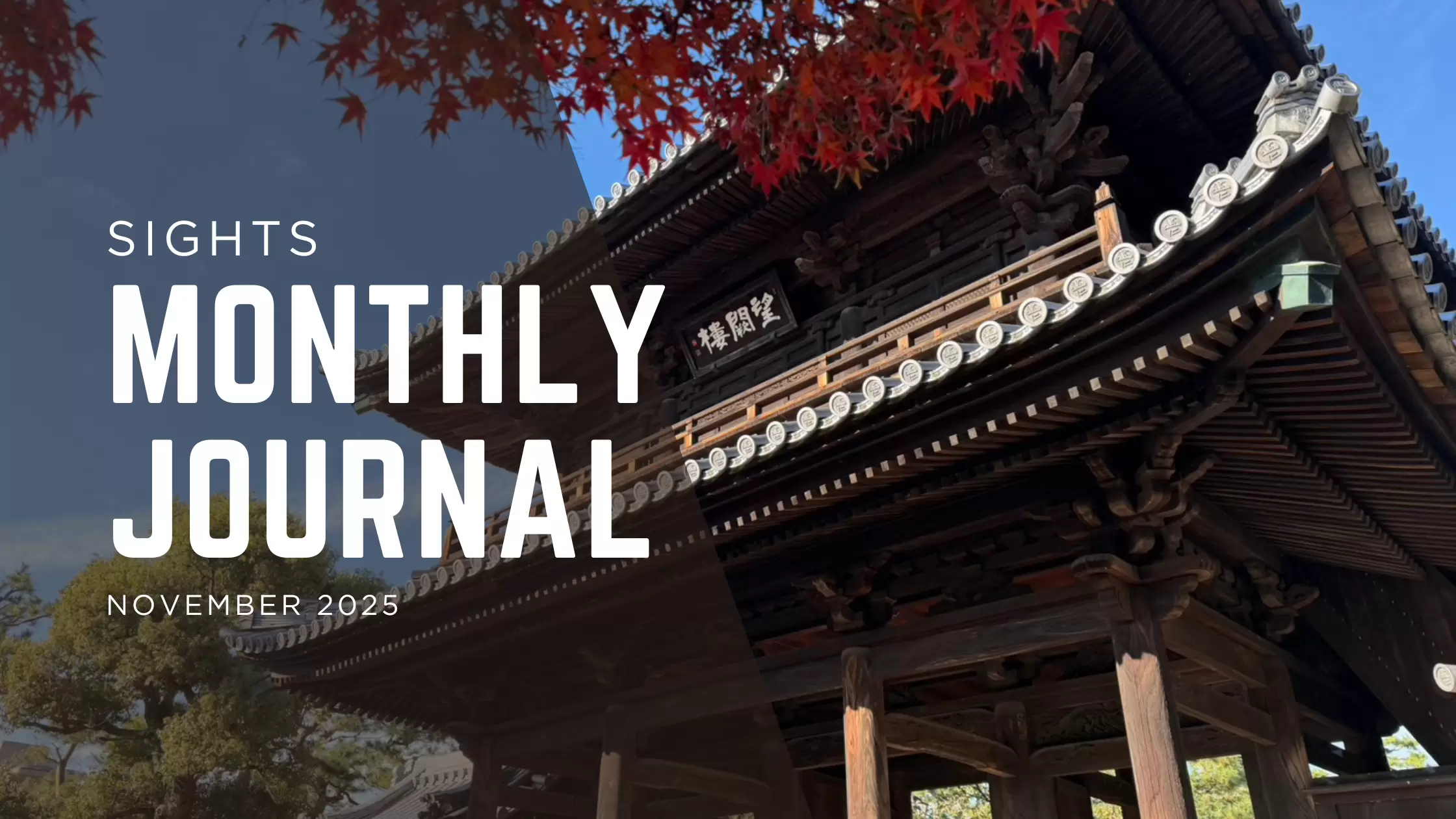 SIGHTS Monthly Journal｜2025年11月号